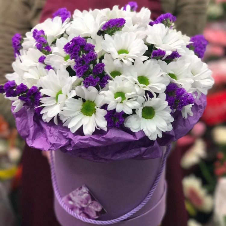 Северное сияние от 11 200 руб.